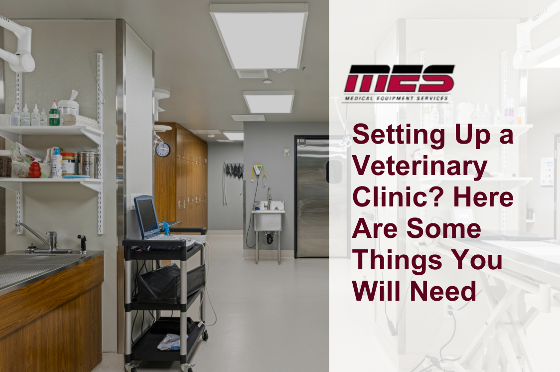 Setting Up a Veterinary Clinic? Here Are Some Things You Will Need